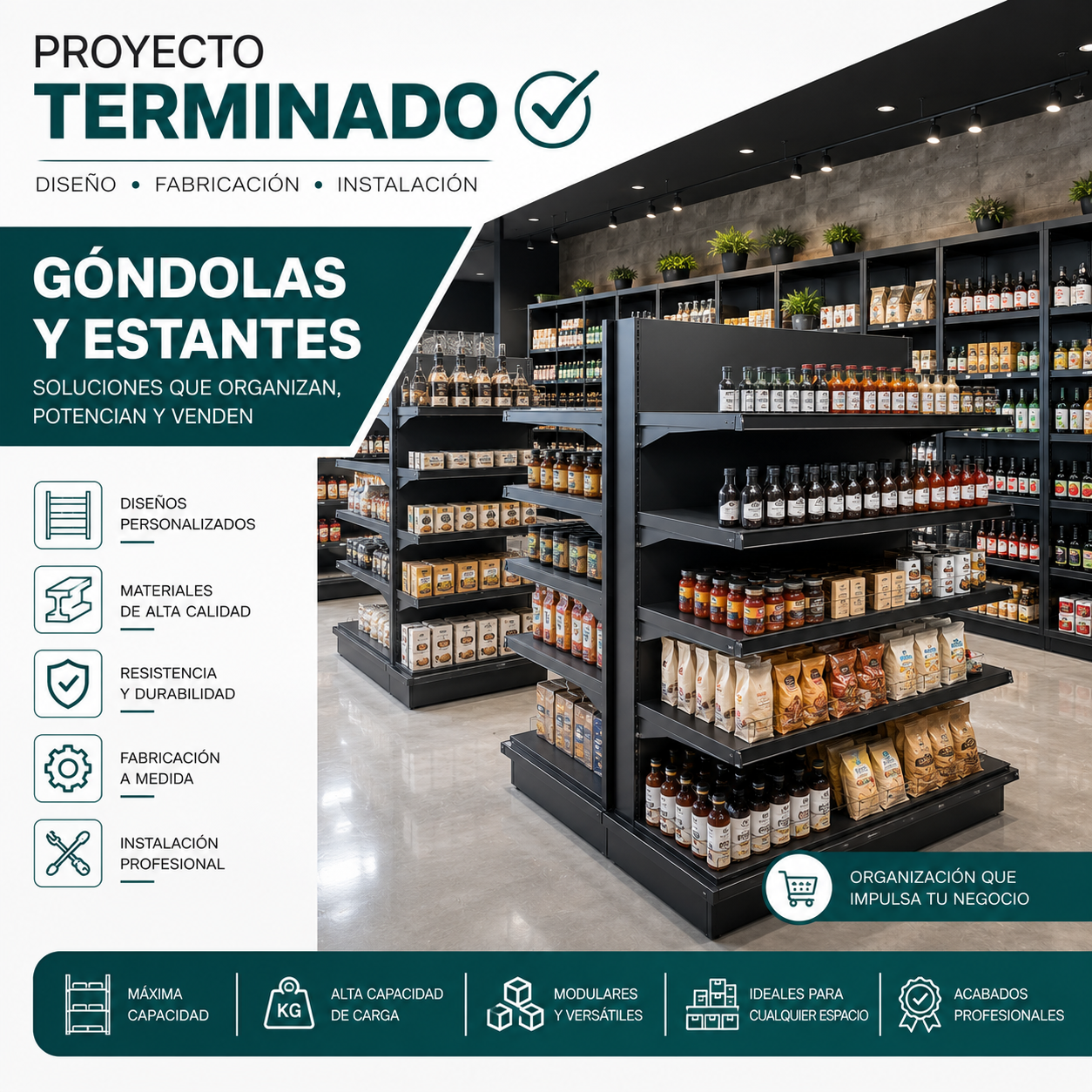 Proyecto Vertikal 6